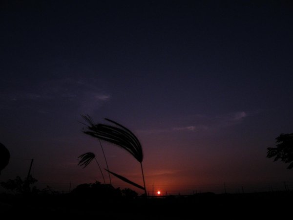 DSCF0944.JPG