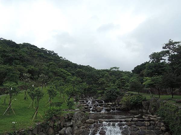 DSCN0100.JPG