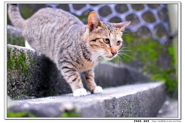 DSC_1662.jpg