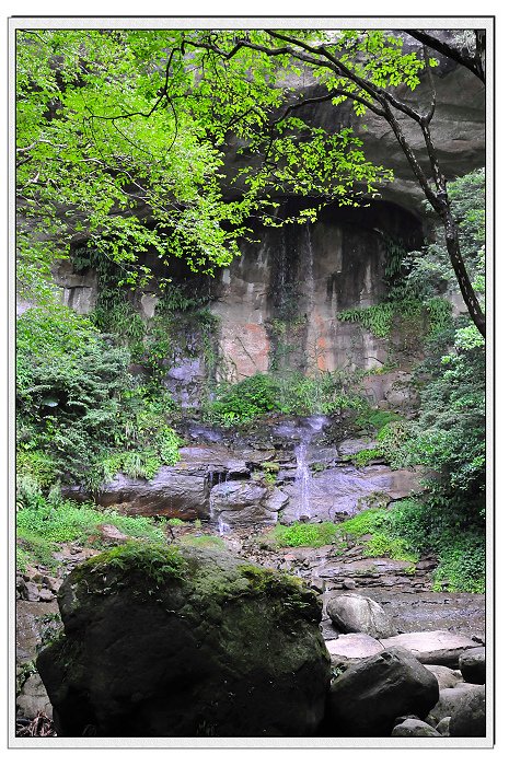 DSC_5856.jpg
