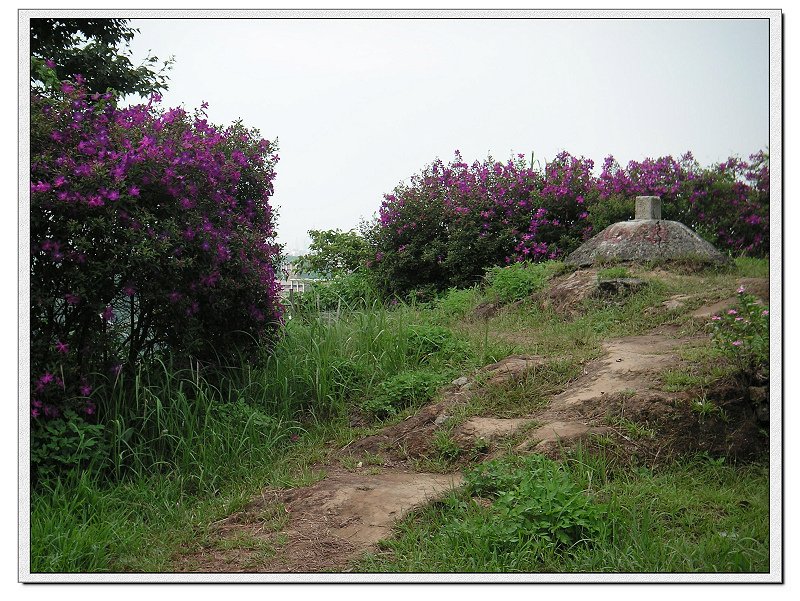 PICT0026.JPG