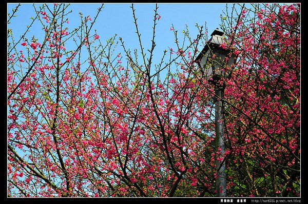 DSC_0809.jpg