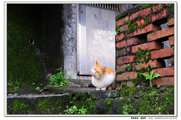 DSC_1623.jpg