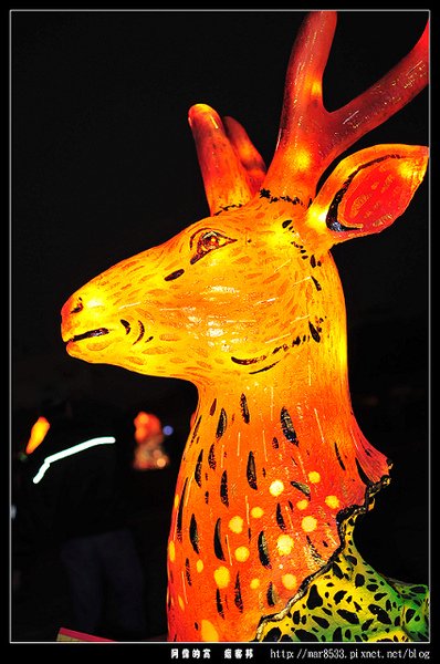DSC_0203.jpg