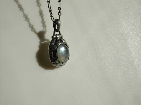 450_DSCN0325.JPG