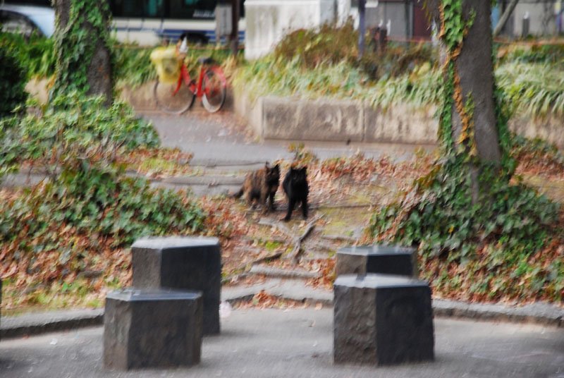 DSC_0665.JPG