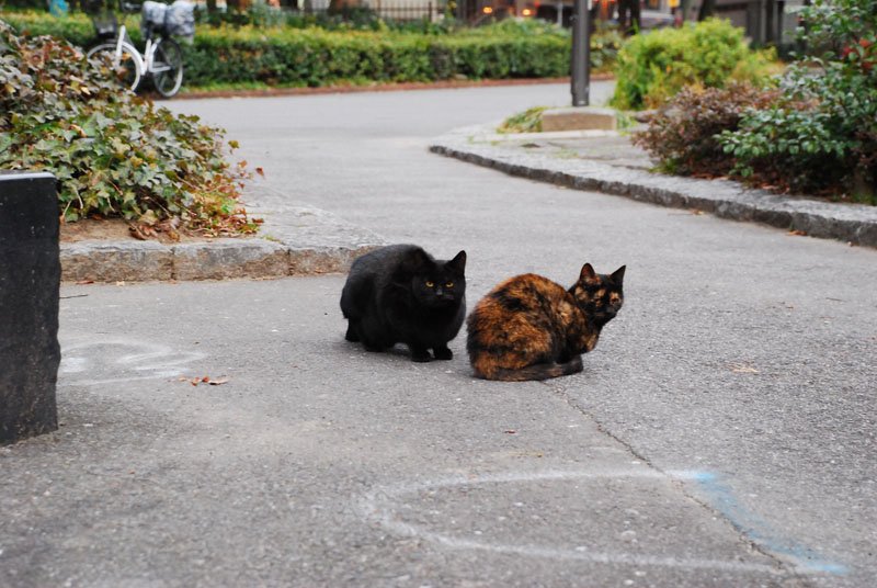 DSC_0671.JPG