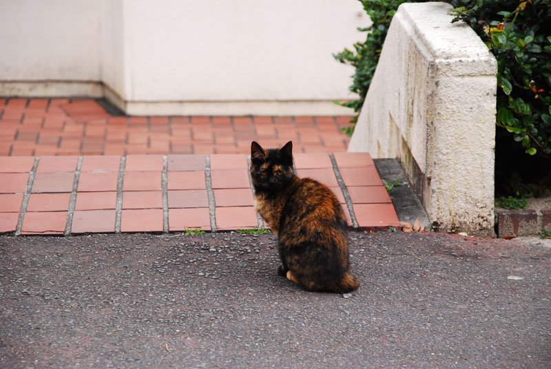 DSC_0694.JPG