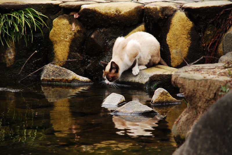 DSC_0708.JPG
