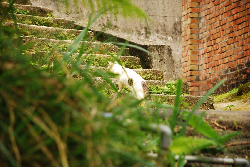 DSC_0014.JPG