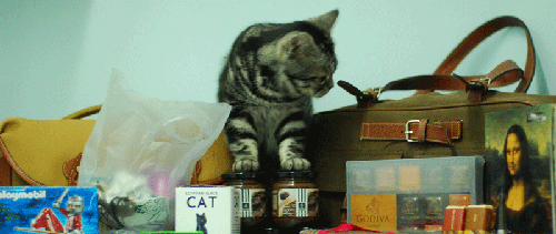 2.gif