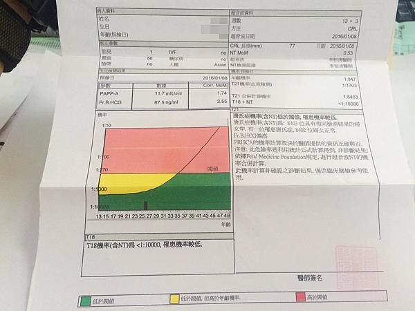 自費-第一期唐氏症篩檢+頸部透明帶檢查 1