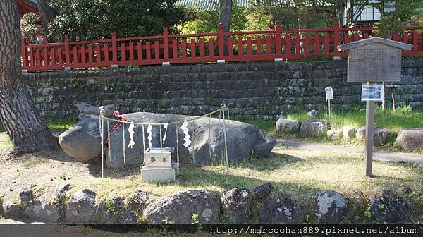 DSC07556.JPG