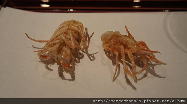 DSC08078.JPG