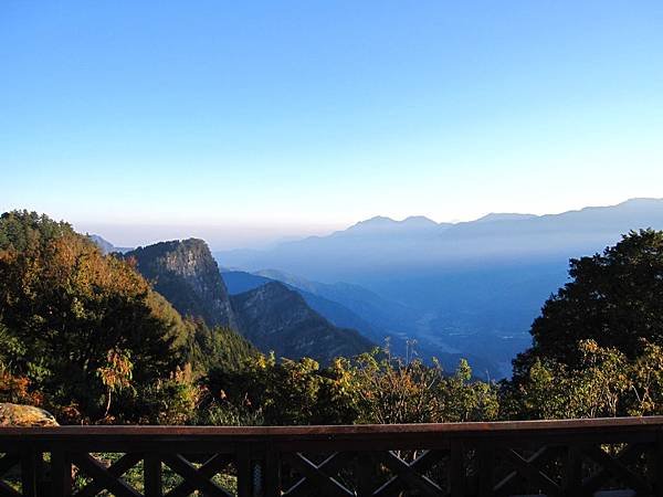 阿里山小笠原-02.jpg