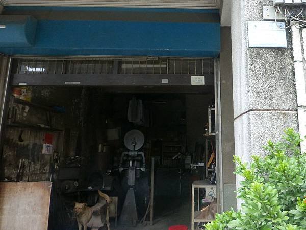 P1140806.jpg