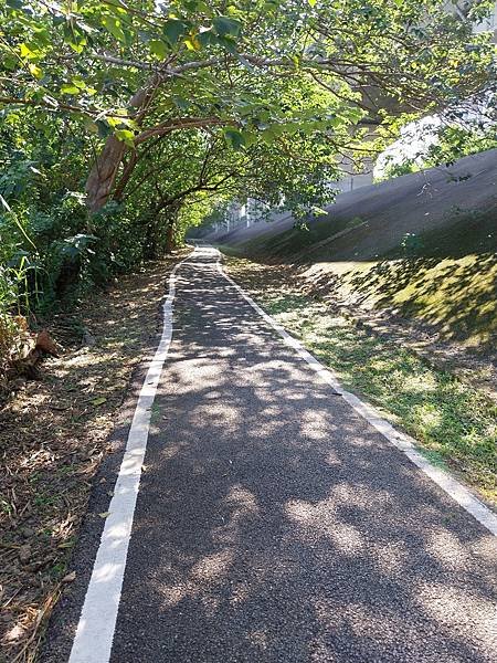 竹東生態河濱公園~拍照練習