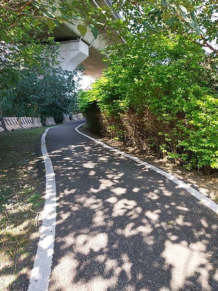 竹東生態河濱公園~拍照練習