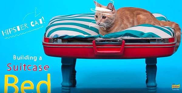 DIY Cat Toys - How to Make a Suitcase Bed - YouTube-1.jpg