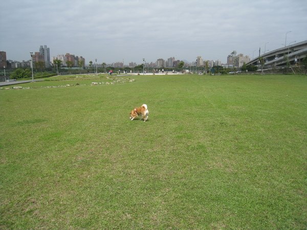 照片 014.jpg