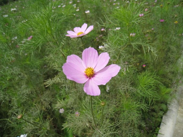 照片 047.jpg