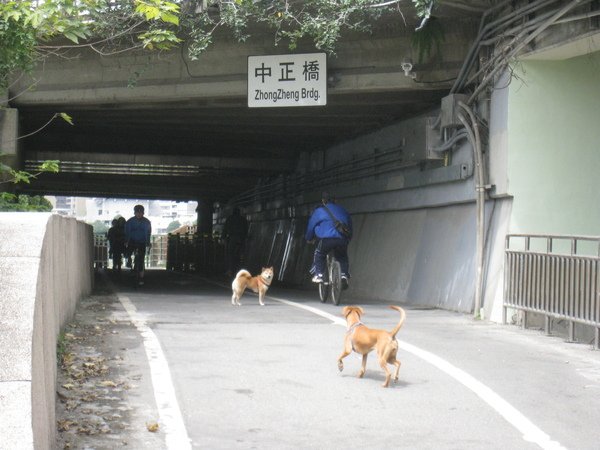 照片 080.jpg