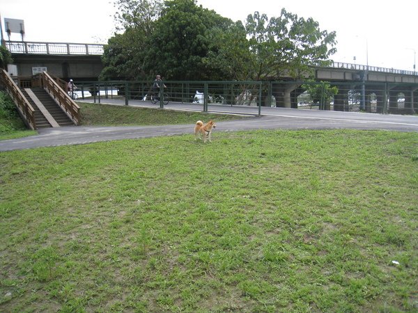 照片 084.jpg