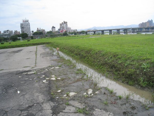 照片 085.jpg