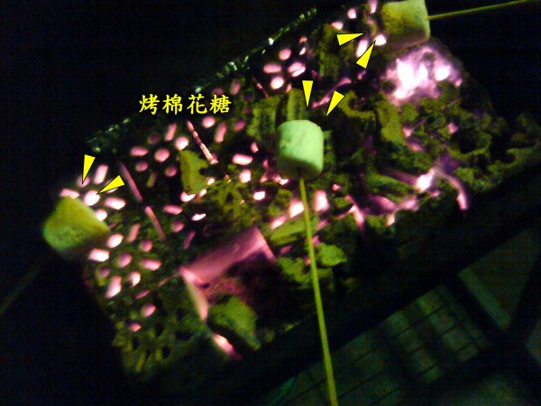 DSC005531.jpg