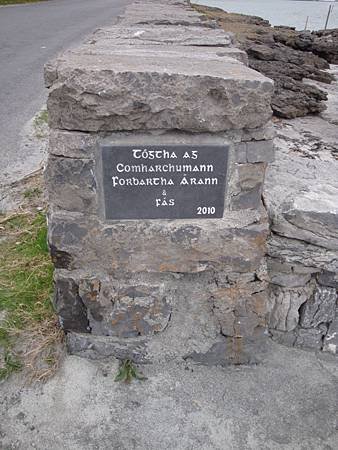 DSC08580.JPG