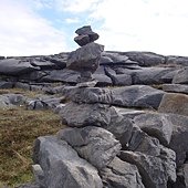DSC08768.JPG