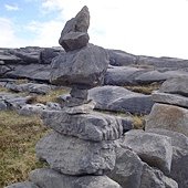 DSC08769.JPG