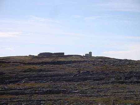 DSC08794.JPG