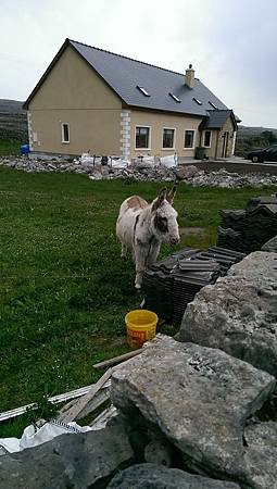 IMAG0746.jpg