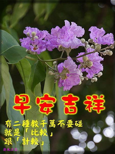 DSC0895084早安吉祥.jpg