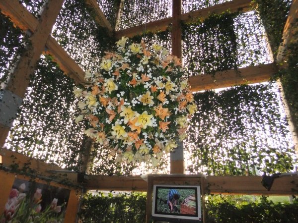 2011_0409_mark_075.jpg