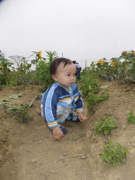 2011_0410_mark_079.jpg