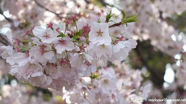 DSCF0607