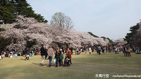 DSCF0614