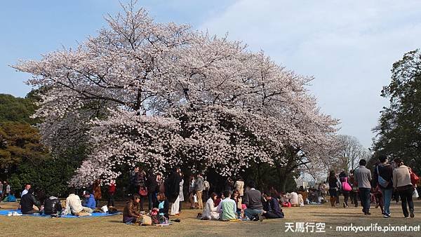 DSCF0638