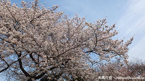 DSCF0640