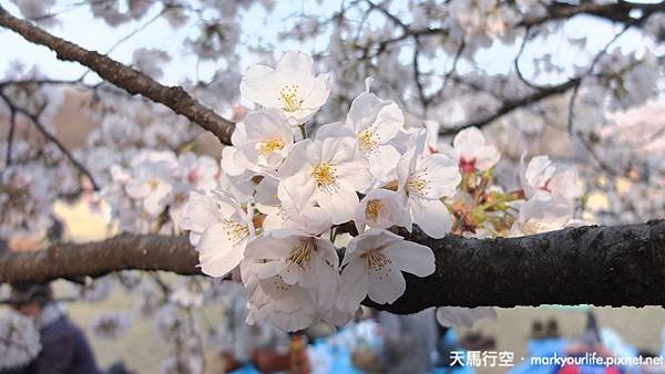 DSCF0654
