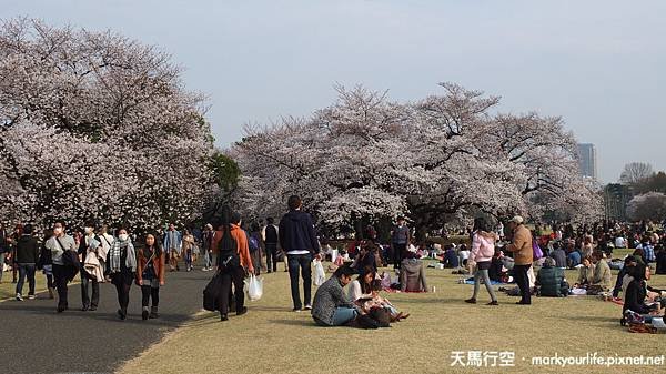 DSCF0656