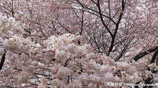 DSCF0673