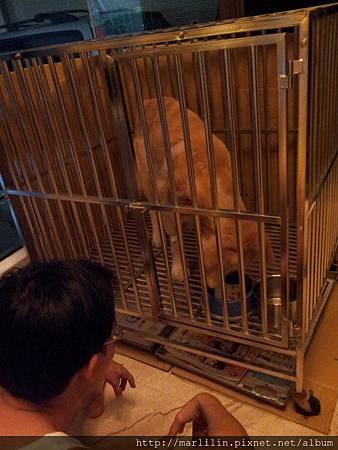 回家療養20120907
