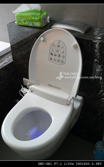 大老向-11