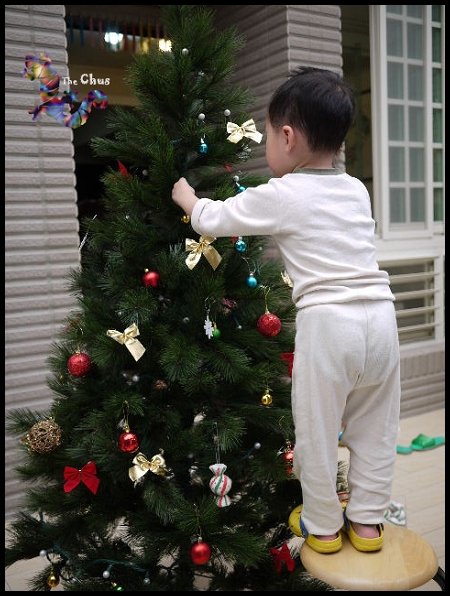 TREE-17.jpg