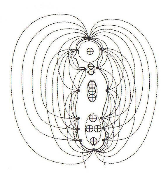 人體氣場側面圖.jpg