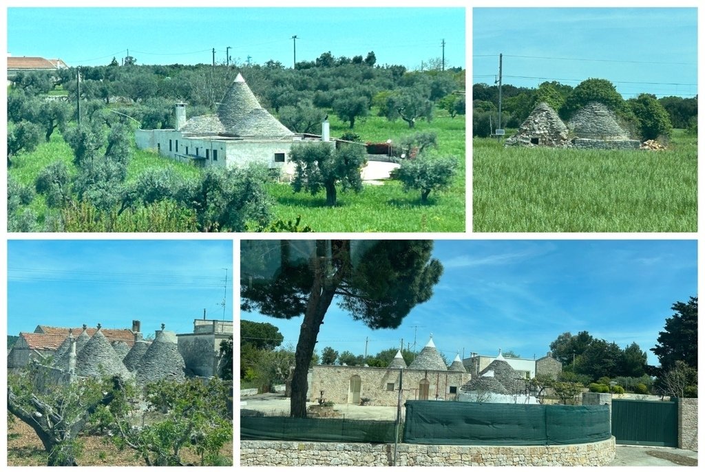 前往Alberobello沿路的野生trullo.jpg