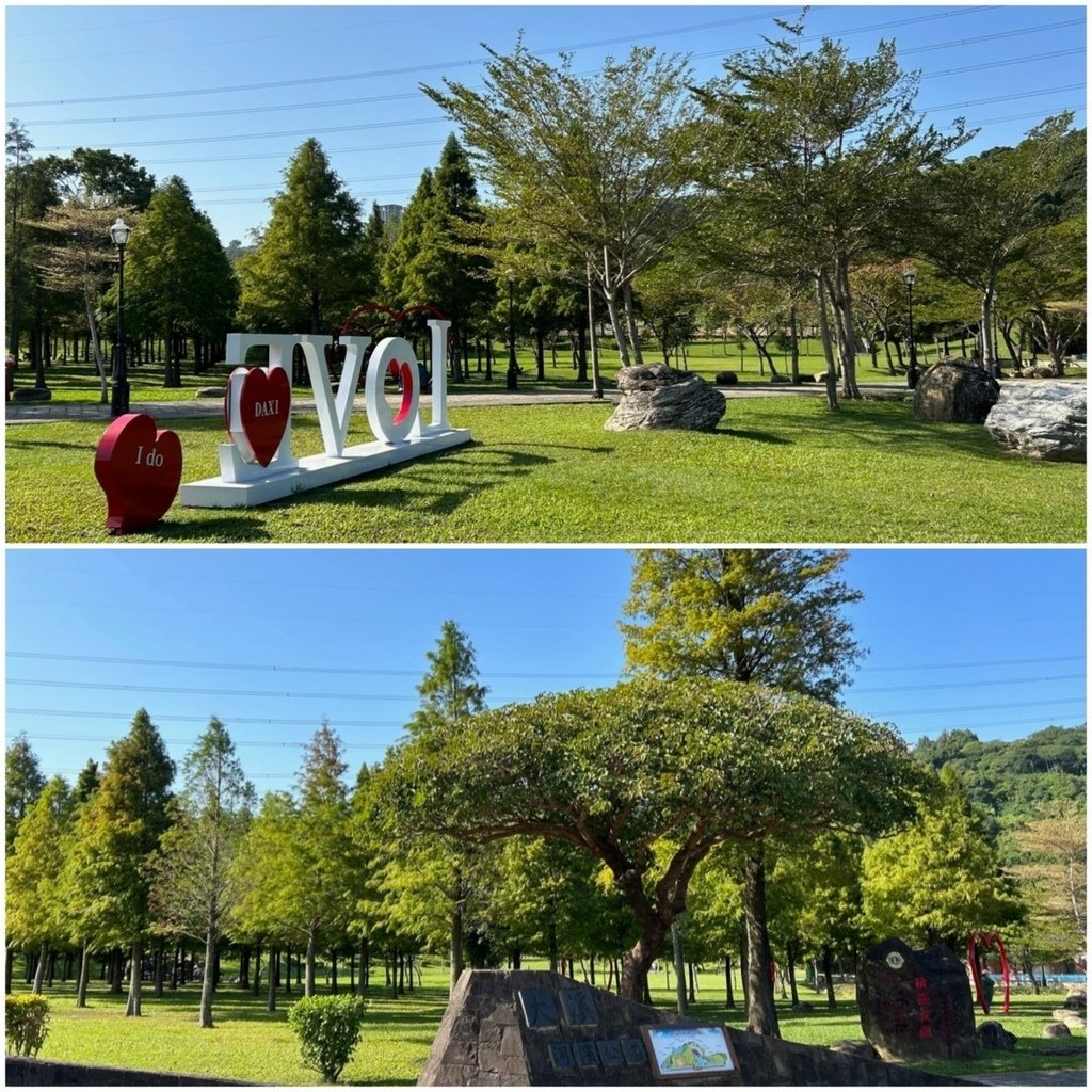 大溪河濱公園及落羽松林.jpg